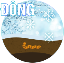 Đông